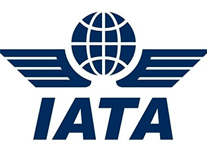 Заключение для IATA